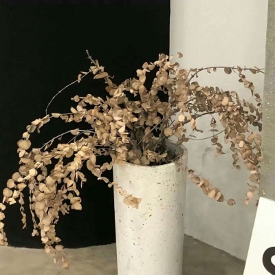 溪湖福瑞交流群